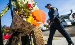 Des fleurs déposées en hommage aux victimes de l'incendie qui a ravagé un collectif d'artistes, le 4 décembre 2016 à Oakland en Californie