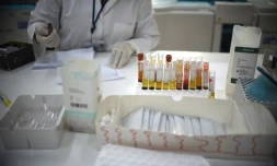 Une personne effectue des analyses de sang à la recherche du virus Zika dans un laboratoire à Guatemala, le 2 février 2016