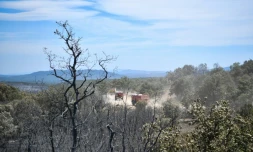 Des camions de pompiers dans une zone brûlée par les incendies près d'Artigues, dans le Var, le 27 juillet 2017