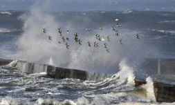 Des vagues s'écrasent sur les cÎtes de Préfailles (ouest de la France), le 1er janvier 2018