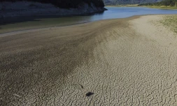 Le lit asséché d'un bras de rivière approvisionnant un barrage à Elena, en Bulgarie, le 2 juillet 2025