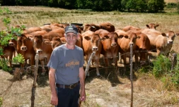 L'éleveur Pascal Mareix devant ses vaches à Mazeirat, le 7 juillet 2026 dans la Creuse