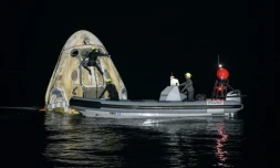 Image fournie par la Nasa montrant l'équipe technique travaillant sur la capsule Crew Dragon de SpaceX peu après son amerrissage dans le golfe du Mexique, au large de la Floride (Etats-Unis), le 2 mai 2021