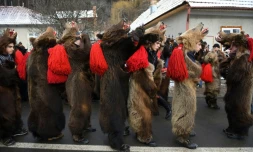 Des roumains vêtus de peaux d'ours dansent dans les rues de Comanesti, le 30 décembre 2016 lors d'un défilé pour chasser les mauvais esprits de l'année écoulée