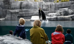 Des enfants retrouvent le parc zoologique de Vincennes qui a rouvert ses portes aprĂšs trois mois de fermeture, le 8 juin 2020 Ă Paris