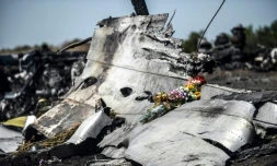 Des fleurs déposées sur la carcasse du Boeing 777 de la Malaysia Airlines (vol MH17), près du village de Hrabove dans l'est de l'Ukraine, le 26 juillet 2014