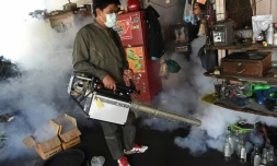 Un employé municipal fumige une maison pour lutter contre le moustique Aedes Aegypti, vecteur du virus Zika et celui de la dengue, le 5 février 2016 à Bangkok