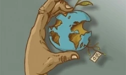 L'affiche de la semaine du développement durable