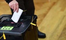 Un électeur irlandais dépose son bulletin de vote samedi 8 février dans un bureau de vote de Dublin à l'occasion des élections législatives.
