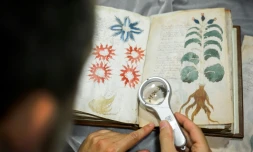 Un employé des éditions Siloe travaille à reproduire pour la première fois le manuscrit Voynich, le 9 août 2016 à Burgos, dans le nord de l'Espagne