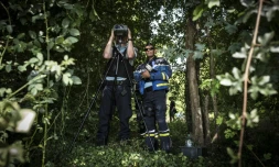 Embusqué dans un sous-bois, un gendarme procède à un contrôle de vitesse "pédagogique" le 2 juillet 2018