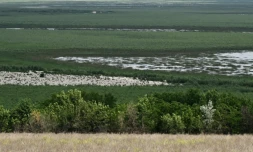 Les rives du réservoir artificiel de Kakhovka, dans la région de Kherson, dans le sud de l'Ukraine, le 3 juin 2024