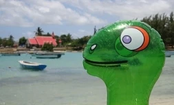 La tortue Caroline raconte ses voyages sur le site www.lesvoyagesdecaroline.com