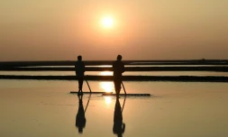Des paludiers travaillent dans les marais salants au coucher du soleil Ă Kharaghoda, prĂšs d'Ahmedabad, en Inde, le 8 janvier 2021