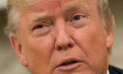 Le président américain Donald Trump à Washington le 31 mai 2017