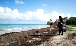 Des policiers en patrouille sur les plages des Salines, à Gosier, le 20 mars 2020 en Guadeloupe 