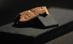 Photo prise le 23 janvier 2002 au musée Iziko du Cap d'un morceau d'ocre portant la gravure la plus ancienne attribuée à Homo sapiens en motifs géométriques, découverte en Afrique du sud