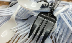 Vaisselle jetable en plastique 