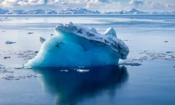 L’Antarctique semble soumis à une série de changements "abrupts" qui se renforcent mutuellement, aux conséquences potentiellement catastrophiques pour le monde entier, alertent des chercheurs 