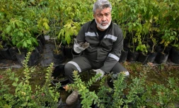 L'ancien gĂ©nĂ©ral Henry Torres dans la pĂ©piniĂšre oĂč il travaille Ă la prison de Bogota, le 17 avril 2024 en Colombie