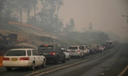 Des voitures font la queue pour quitter la ville de Batemans Bay, en Nouvelle-Galles du Sud, le 2 janvier 2019