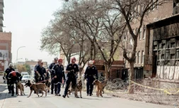 Des policiers de l'unité de recherche K-9 avec leurs chiens devant l'immeuble ravagé par un incendie, le 1er septembre 2023 à Johannesburg, en Afrique du Sud