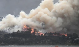 Incendies de forêts à Eden en Australie le 6 janvier 2020