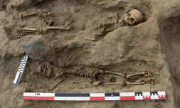 Deux squelettes d'enfants mis au jour sur le site archéologique de Pampa la Cruz, au Pérou, le 27 août 2019