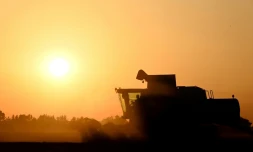 Un agriculteur dans sa moissonneuse, le 30 juin 2025 près d'Illiers-Combray, dans le centre de la France