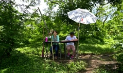 Les s?urs Matilde (g) et Marlene Pimentel le 21 août 2020 à El Tigre au Salvador dans la forêt tropicale où elles peuvent  capter le signal internet 