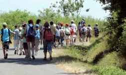 Les Français envoient de moins en moins leurs enfants aux colonies de vacances