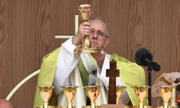 Le pape François célèbre une messe dans le parc Phoenix de Dublin le 26 août 2018