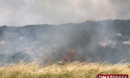 Lundi 6 Juillet 2009

Feu de cannes