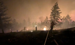Photo prise le 7 août 2026 et diffusée le lendemain par le Service canadien de la faune de Colombie-Britannique montrant des pompiers luttant contre un incendie de forêt près de Summerland, dans l’ouest du Canada