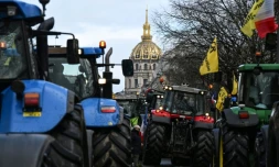 Des agriculteurs français conduisent des tracteurs lors d'une manifestation organisée par le syndicat agricole Coordination Rurale, avec en arrière-plan le dôme de l'Hôtel des Invalides, dans l'ouest de Paris, le 23 février 2024