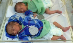 Des nouveaux-nés dans une maternité à Kaboul, le 26 décembre 2017, mais souvent faute de certificat de naissance officiel leur anniversaire sera célébré par facilité tous les 1ers janvier