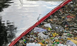 Un oiseau se pose sur une barriÚre repoussant les déchets le 1er avril 2024 sur une riviÚre de Manille