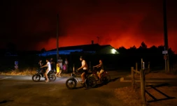 Un incendie d'une grande virulence à Le Porge en Gironde, le 23 juillet 2026