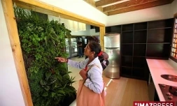 Implantée au jardin de l'État (Saint-Denis), la case DÉMÉTÉ est une maison équipée pour favoriser le développement durable grâce à des solutions innovantes.