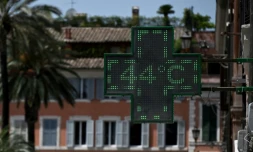 Un thermomÚtre indique une température de 44°C à Rome, le 17 juillet 2023 lors d'une vague de chaleur en Italie