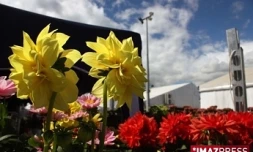 Édition 2009 de Flore et Halle à la halle des manifestations du Port