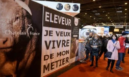 Des personnes déambulent au Salon de l'agriculture le 28 février 2016 à Paris