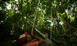 Des indigènes Nukak chassent des singes à la sarbacane près de San José de Guaviare, le 7 novembre 2021 en Colombie