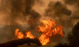 Un brasier de l'incendie "Mendocino Complex" près de Clearlake Oaks en Californie, le 5 août 2018