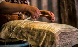 Une femme prépare des feuilles de papyrus dans un atelier d'Al-Qaramous en Egypte, le 28 juillet 2021