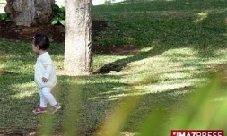 Saint-Denis jardin de l'Etat