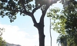 Saint-Denis jardin de l'Etat