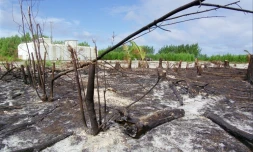 Vue extérieure datée du 06 juin 2000 du bunker qui abritait le poste de commandement de tir lors des expériences nucléaires sur l'atoll de Mururoa
