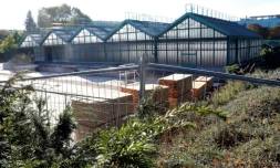 Vue du jardin des Serres d'Auteuil Ă Paris, le 5 octobre 2016