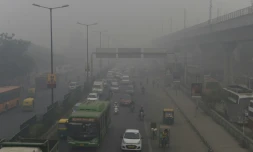 Un épais brouillard recouvre New Delhi, le 2 novembre 2016